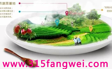 www.315fangwei.com